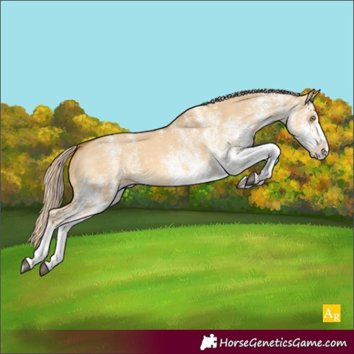Horse Color:White Spotted Palomino Dun