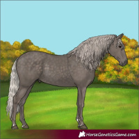 Horse Color:Silver Black