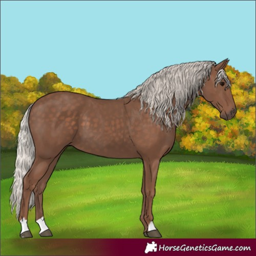 Horse Color:Silver Black
