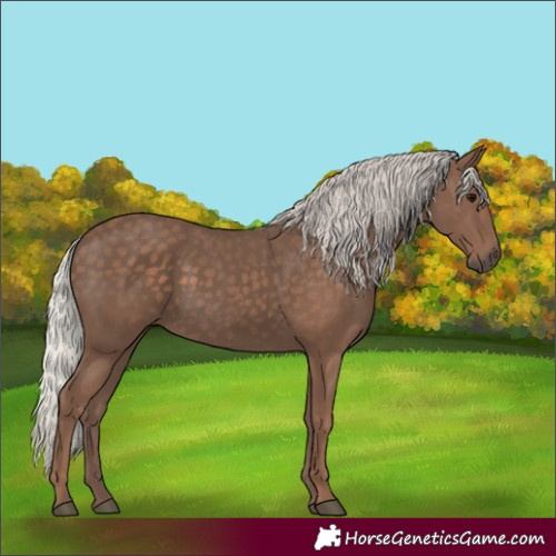 Horse Color:Silver Black 