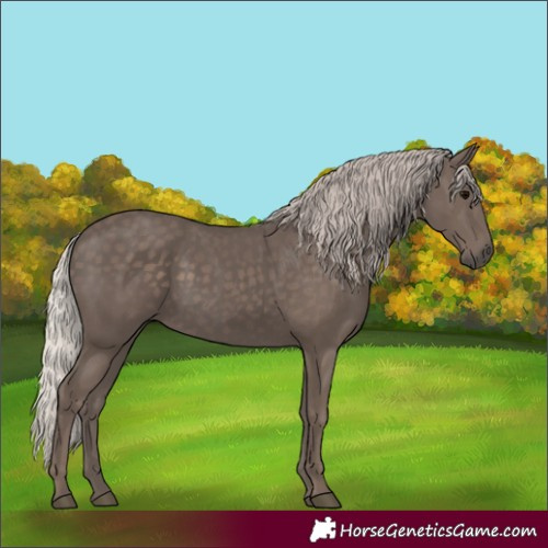 Horse Color:Silver Black