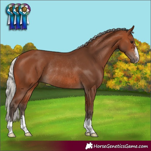 Horse Color:Silver Brown Rabicano 