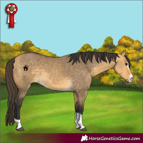 Horse Color:Buckskin Dun 