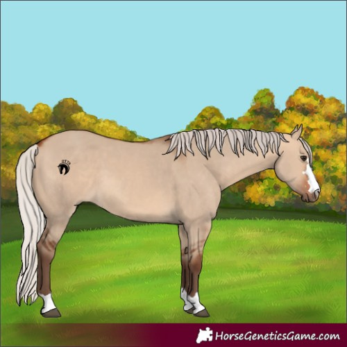 Horse Color:Silver Bay Dun 