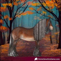 Horse Color:Silver Brown Tobiano and Brown