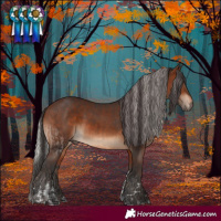 Horse Color:Silver Brown Tobiano and Brown
