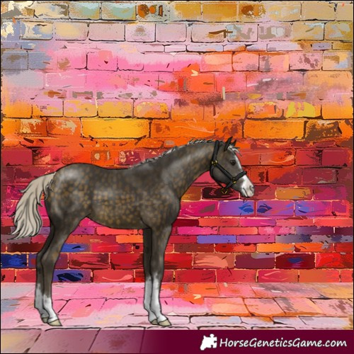 Horse Color:Silver Buckskin 