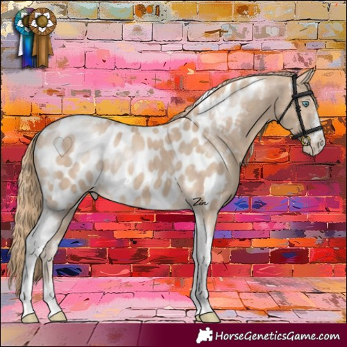 Horse Color:Perlino Tobiano Appaloosa Rabicano