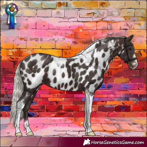 Horse Color:Silver Brown Tobiano Near Leopard 