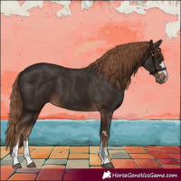 Horse Color:Liver Chestnut