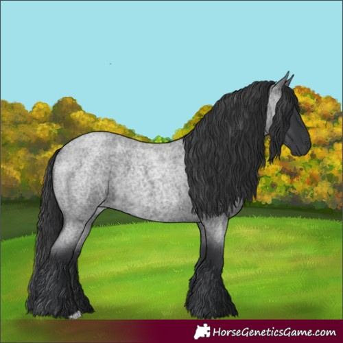 Horse Color:Blue Roan 