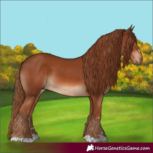 Horse Color:Chestnut and Chestnut
