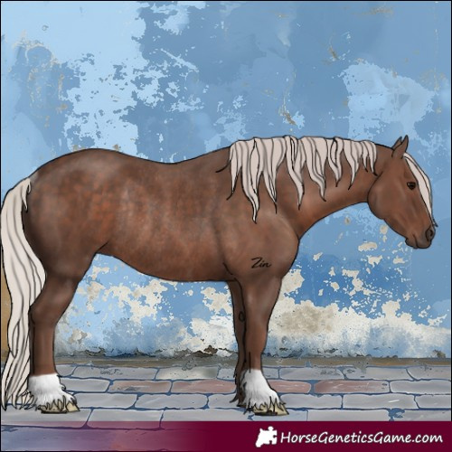 Horse Color:Silver Black Rabicano