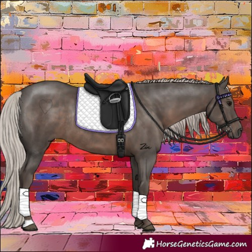 Horse Color:Silver Black Rabicano