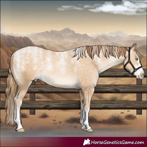 Horse Color:Powder White Buckskin