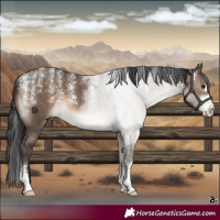 Horse Color:Powder White Brown Dun 