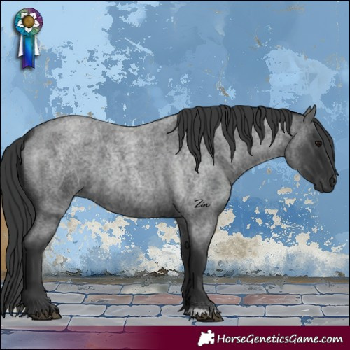 Horse Color:Blue Roan