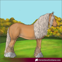 Horse Color:Palomino
