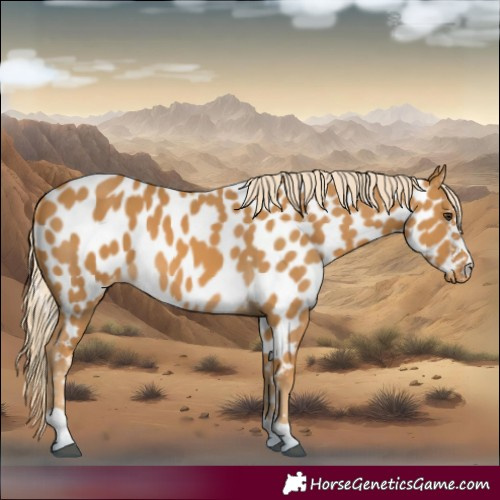 Horse Color:Palomino Near Leopard