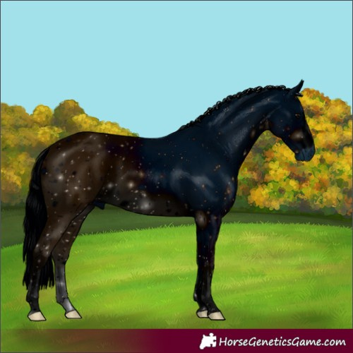 Horse Color:ERROR: UNKNOWN ANOMALY