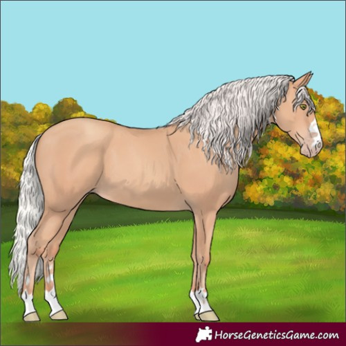 Horse Color:Silver Amber Champagne