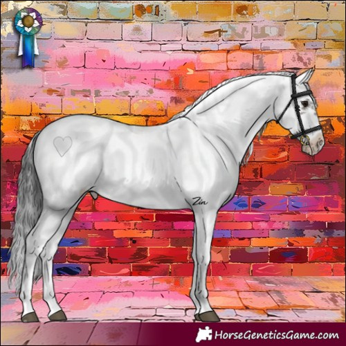 Horse Color:Brown Sabino Frame Appaloosa