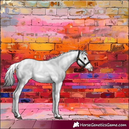 Horse Color:Brown Sabino Frame Appaloosa