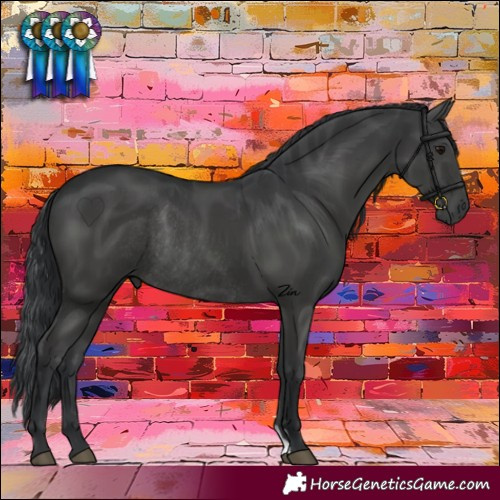 Horse Color:Black Rabicano 