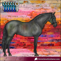 Horse Color:Black Rabicano