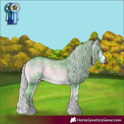 Horse Color:Watercolor Plaid Silver Bay Chinchilla Ice Onyx Tobiano