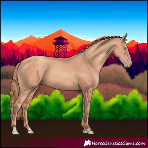 Horse Color:Gold Champagne
