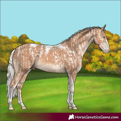 Horse Color:Silver Buckskin Roan Pearl Tobiano and Chestnut Mushroom Sabino Tobiano