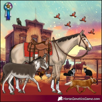 Horse Color:Bay Dun