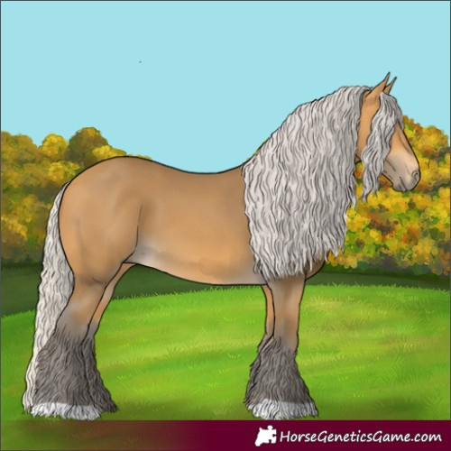 Horse Color:Silver Buckskin 
