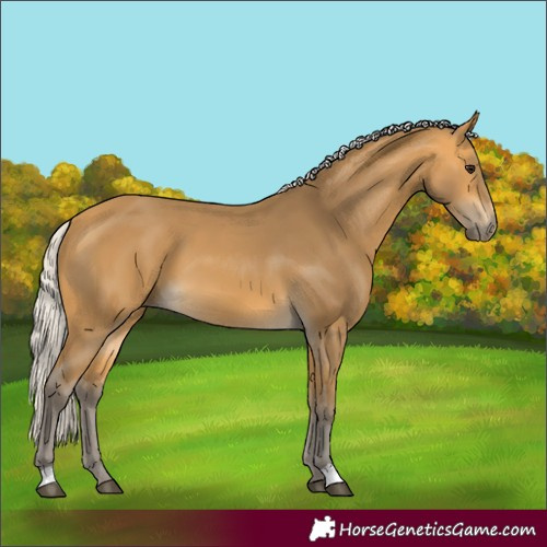 Horse Color:Silver Buckskin