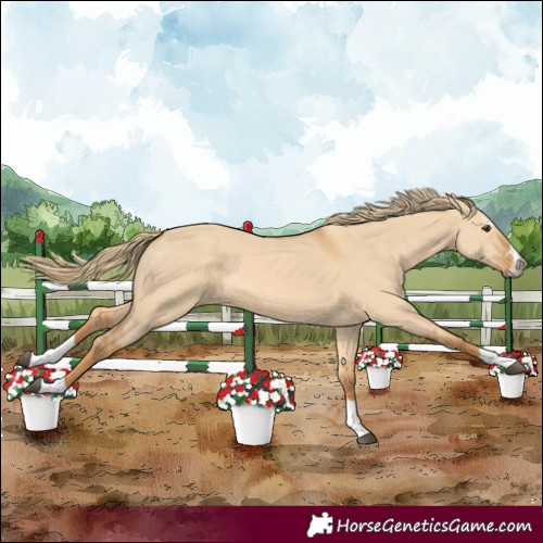 Horse Color:Red Dun