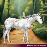 Horse Color:White Spotted Brown Dun Splash Near Leopard 
