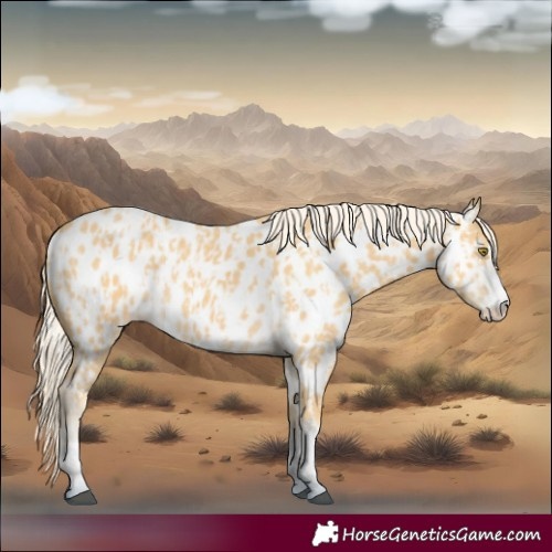 Horse Color:Palomino Near Leopard  and Palomino Near Leopard 