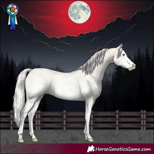 Horse Color:Cremello Dun Sabino and Cremello Dun Sabino Splash