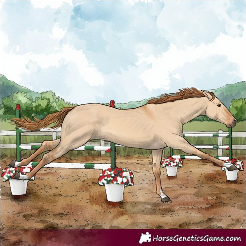 Horse Color:Red Dun 
