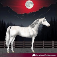 Horse Color:Cremello Sabino and Cremello Sabino Splash
