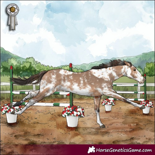 Horse Color:Bay Dun Appaloosa Rabicano and Bay Dun Sabino