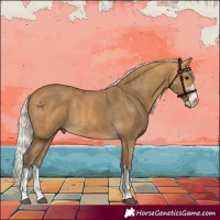 Horse Color:Silver Buckskin