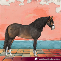Horse Color:Buckskin 