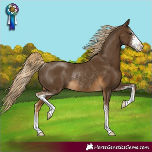 Horse Color:Chocolate Palomino Sabino Rabicano 