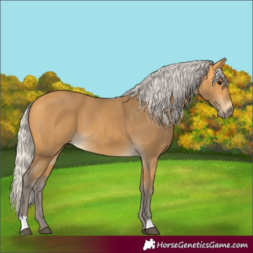 Horse Color:Silver Buckskin