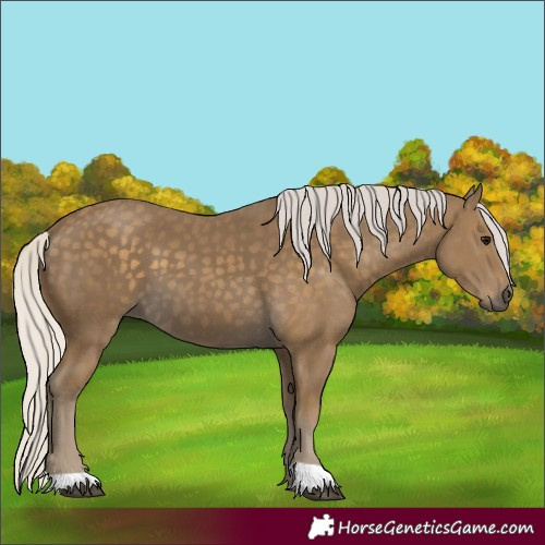 Horse Color:Silver Smoky Black 