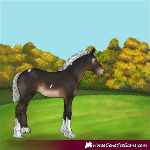 Horse Color:Gray Silver Brown Tobiano 