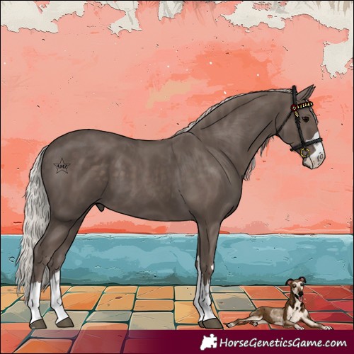 Horse Color:Silver Black 