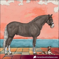 Horse Color:Silver Black 